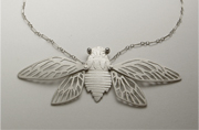 Susan Elnora: Cicada Susan Elnora: Cicada